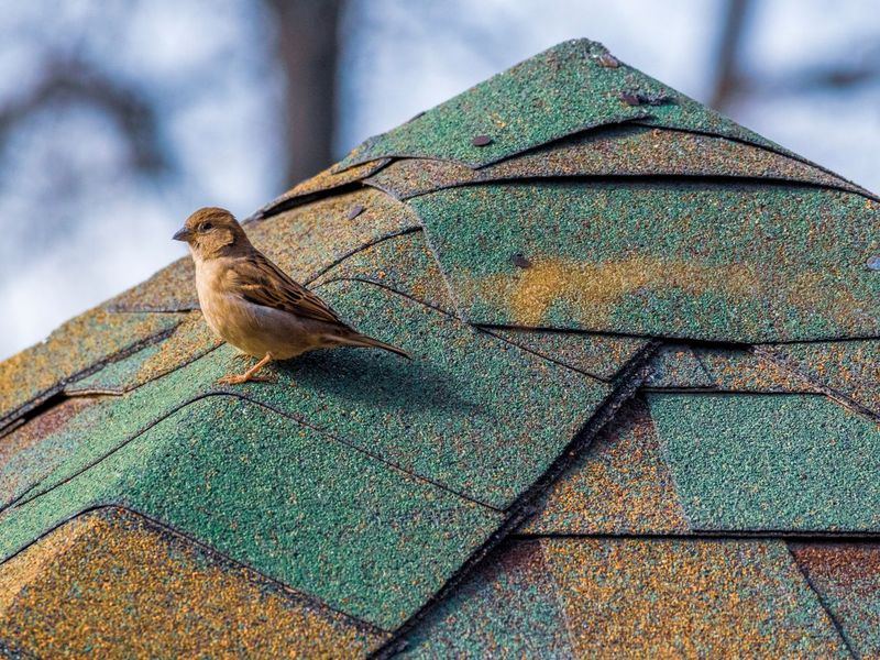 Roofing job in the Noelridge Park neighborhood of Cedar Rapids